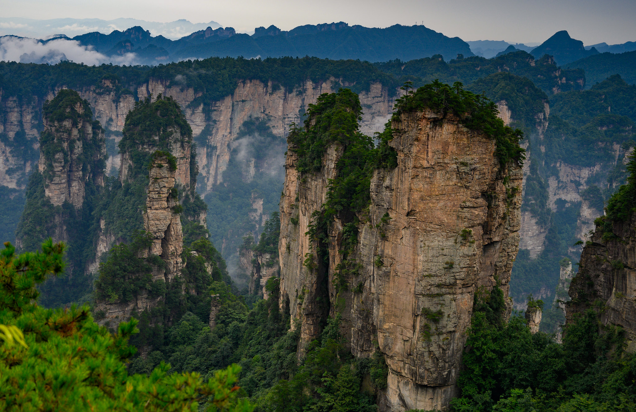 Rock formations in Zhangjiajie National Forest Park