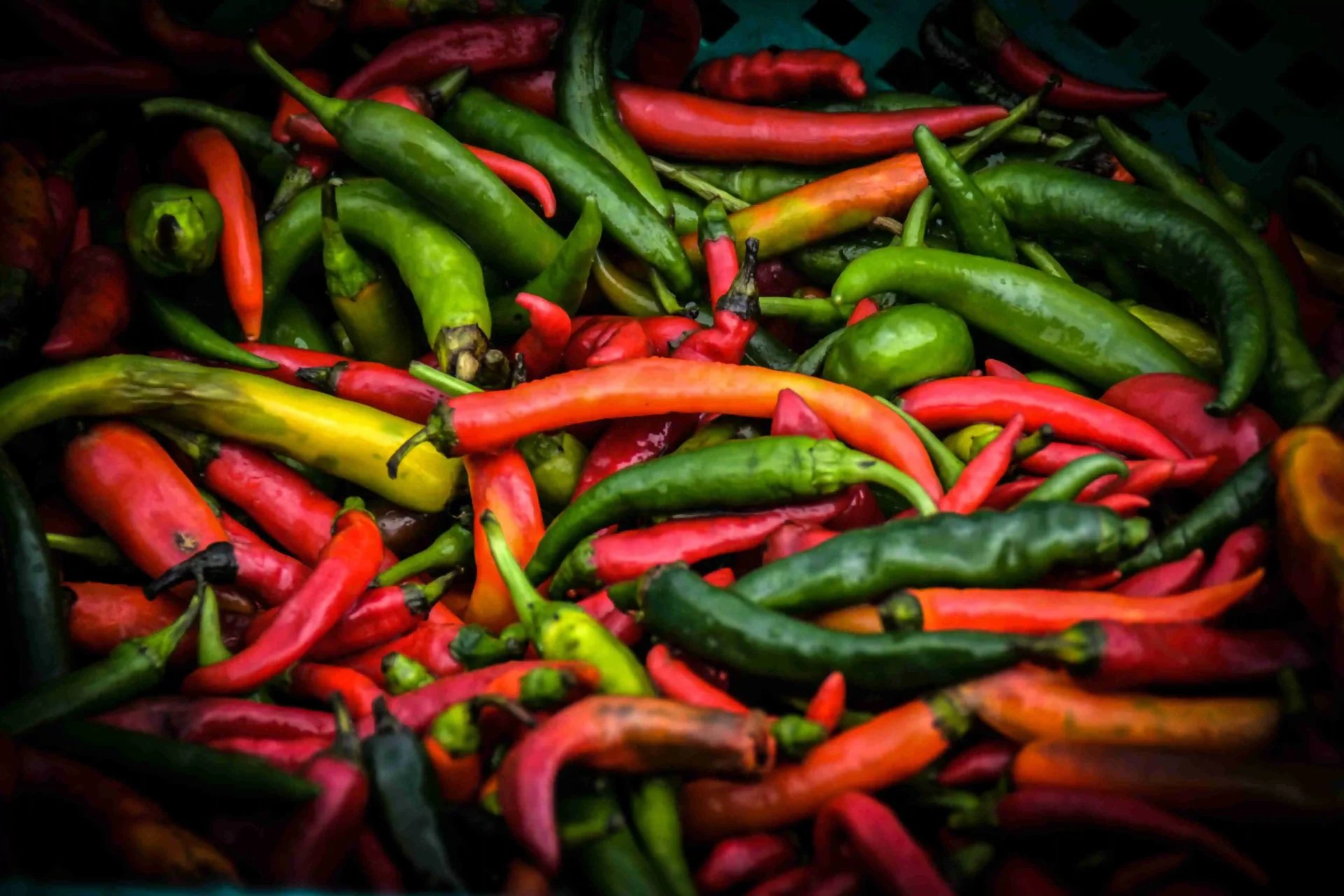 Cayenne Peppers, chillis and jalapenos